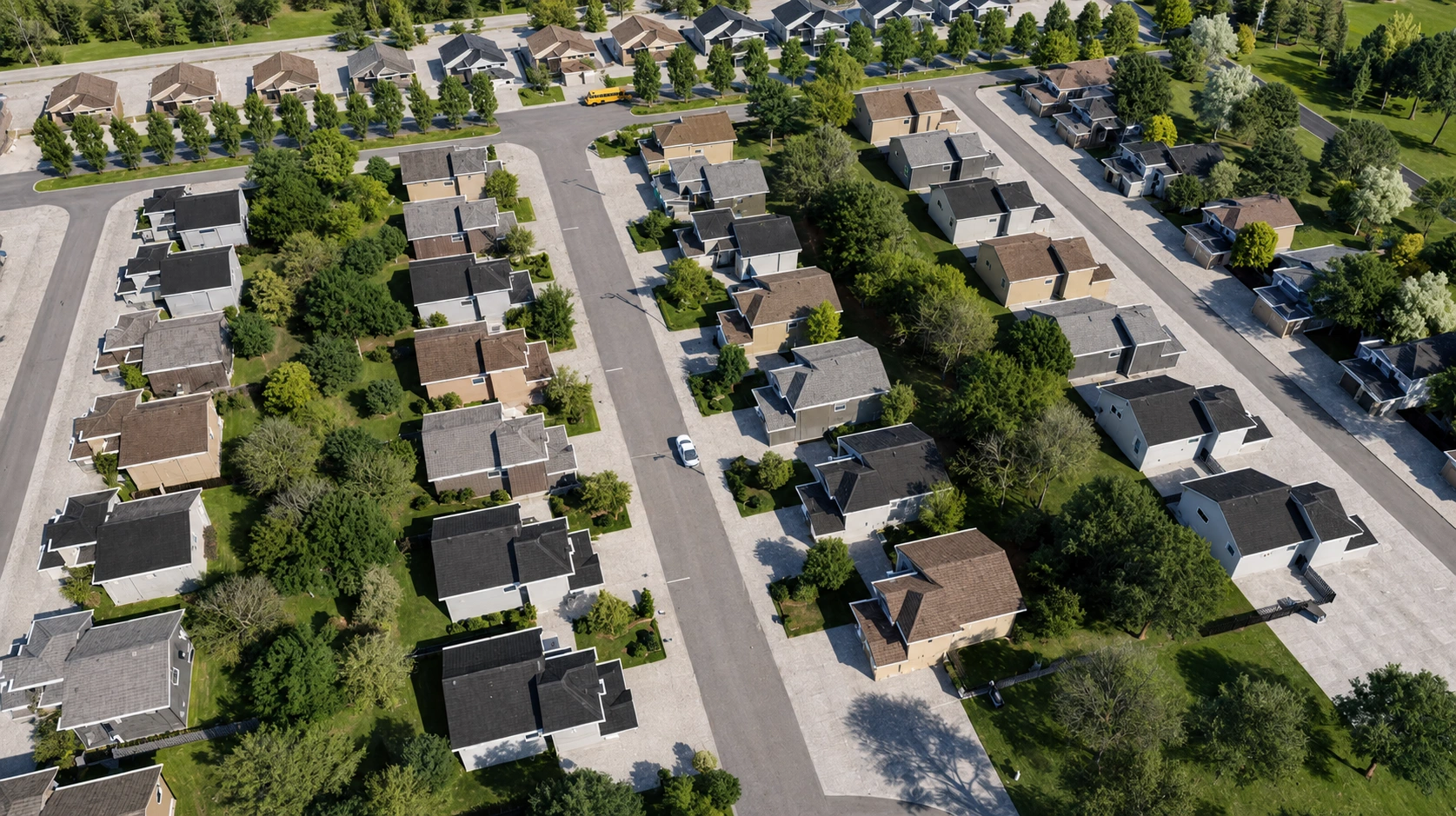 Evergreen Grove