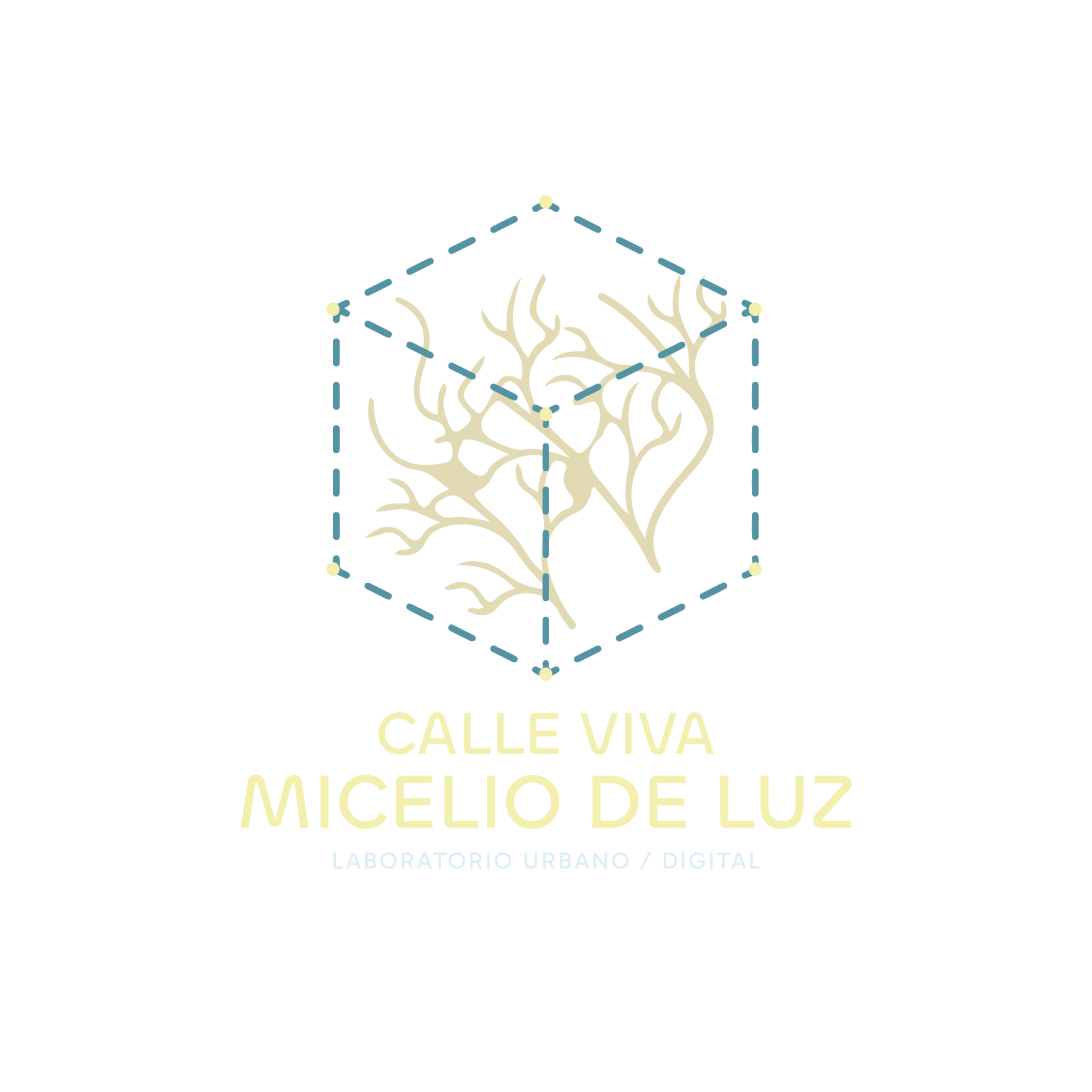 Calle Viva Micelio de Luz